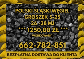POLSKI WĘGIEL : GROSZEK 5-25, 26-28MJ - Transport Gratis !