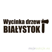 Wycinka Drzew Białystok – Bezpiecznie, Szybko i Skutecznie